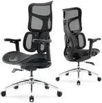 SIHOO Doro S100 Ergonomic Office Chair - with Dual Dynamic Lumbar Support, 5-Level Adjustable Backrest, 4D Coordinated Armrests, 135-degree Max. Recline Angle, Suitable for Home Office (Black)