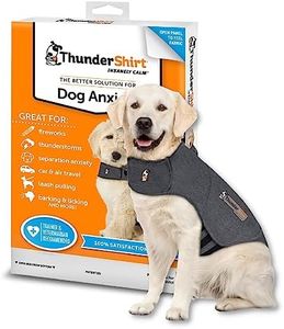 ThunderShi