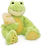 PLUSHIBLE Filip Frog Blankie Bestie, 2-in-1 Stuffed Animal & Blanket, Soft Sensory Plush Toy Gift for Girls, Boys, Babies, Toddlers, & Kids