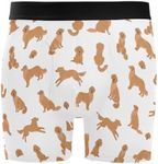 JHKKU Men's Underwear Soft Comfort Breathable 4" Boxer Briefs with Fly, Golden Retriever Dogs, X-Large