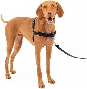 PetSafe Easy Walk No-Pull Dog Harness - The Ultimate Harness to Help Stop Pulling - Take Control & Teach Better Leash Manners - Helps Prevent Pets Pulling on Walks, Medium, Black/Silver