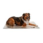 FurHaven Self-Warming Mat for Dogs Beds & Blankets, Electricity-Free & Reflects Body Heat - ThermaPup Reflective Thermal Insert - Silver, Jumbo/XL