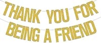 Thank You for Being A Friend Banner