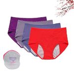 HOPASRISEE Everdries Leakproof Ladies Underwear, Everdries Leakproof Panties For Over 60 Incontinence, Women Plus Size Briefs (4PCS-G,L)