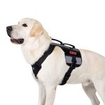 OneTigris Service Reflective Dog harness,Tactical Dog Vest with D-Ring & Handle,High-Visibility Lightweight Safety Dog Vests Suit for Search and Rescue Dog(M, Black)