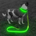 BSEEN LED Lighted Dog Leash - USB Rechargeable Nylon Puppy Lead, Safety Dog Lights for Night Walking (47 Inch, Neon Green)