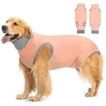Avont Dog Surgery Recovery Suit, Po