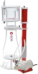 Reef Octop