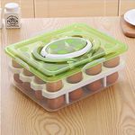 Styleys Plastic Double Layer 32 Grid Kitchen Fridge Egg Storage Container Box With Lid For Refrigerator (Green_S11063,Square)