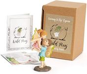 WILD PIXY Miniature Fairy Figurine - Fairy Garden Fairies with an Inspiration Theme, Includes A Fairy Poem and Gift Box, Gorgeous Miniature Garden Decoration for Indoor or Outdoor Fairy Gardens