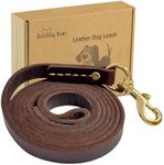 Guiding Star Leather Dog Leash 6ft,