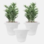 YUCCABE ITALIA SHERA RD 18 INCH Plastic Flower Pots Set of 3 Pcs Round Shape Gamle Planters for Outdoor and Indoor Garden Plastic Pots for Home and Balcony (White)