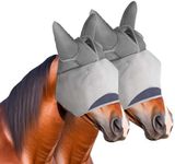 2pcs Horse