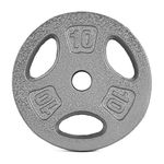 CAP Barbell 10 lb Standard 1-Inch Cast Iron Grip Plate