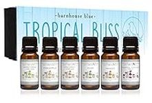 Premium Fragrance Oils - Tropical B