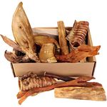 Natural Dog Chews, Tasty Long Lasting Variety Box of Doggy Chews, All Natural Treats - Chewy Yummy Chews for Adult Dogs (Cool Climate Chews, Large)