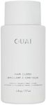 OUAI Hair Gloss - In-Shower Shiny Hair Treatment with Frizz Control - Heat Protectant Hair Glaze Infused with Hyaluronic Acid, Rice Water + Panthenol - Paraben, Phthalate & Sulfate Free (6 Oz)