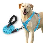 HANK Dog Harness with Leash for Big Dogs - Chest Size (Min 32 - Max 42" inches) (XL - (Harness + Leash), Cyan Blue - Grey Design - Combo)