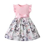 Vicexuga Toddler Little Girls Dress Summer Clothes Sleeveless Butterfly Floral Print Ruffle One-Piece Princess Dress Pink 3-4T