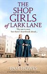 The Shop Girls of Lark Lane: A heartbreaking post-war family saga (Lark Lane Series Book 2)