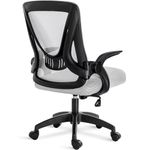 Blisswood Office Desk Chair, Ergonomic Mesh Chair With 90° Flip-up Armrest Swivel Computer Chair With Lumbar Support, Adjustable Height, Back Support 360° Rotation Gaming Chair For Home Office