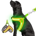 Ayaseen Light Up Dog Harness-Led Dog Harness Rechargeable Lighted Dog Harness for Night Walking,No Escapes,Adjustable Glow Green Light Vest Soft Harness Super Bright(Green, L)