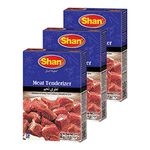 Shan Meat Tenderizer Seasoning Mix 1.4 oz (40g) - Double Strength Tenderizing High Altitude Cooking Powder - Suitable for Vegetarians - Airtight Bag in a Box (Pack of 3)