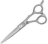 Kasho Basic Impression KBP 55OS Basic Pro Hairdressing Scissors 5.5 Ergonomic/Offset