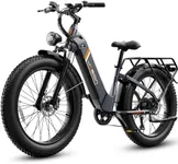 Jasion Thunder Electric Bike for Ad