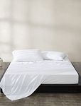 Calvin Klein Home Modern Cotton Harrison 153 TC 1 Piece Flat Sheet, King Size, Cotton (White)