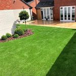 Hybrid Mexican Bermuda Lawn Grass Seeds All Season Carpet Grass for Outdoor Garden Lawn Pack of 500g