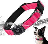 AirTag Dog Collar, IP68 Waterproof 