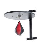 Speed Bag Platforms