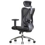 SIHOO Ergonomic Office Chair Computer Chair Desk Chair, Adjustable Headrests Chair Backrest and Armrest's Mesh Chair (Black)