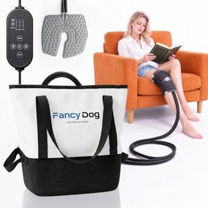 FancyDog Cold Therapy Machine, Silent Brushless Pump Knee Ice Machine