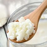 Mr Kefir - Live Milk Kefir Grains (Premium/Large size grains 10 Grams) | Lab tested - Contains 2.2 Billion CFUs per Gram | Free Large Strainer | Dedicated Support Team | Grains Can Be Reused Forever | Live Grain Guarantee |