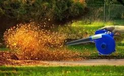 Shop Vacuum For Leaves