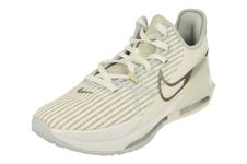 Nike Lebron Witness VI-Summit White/MTLC Pewter-Light BONE-AURA-CZ4052-102-10UK