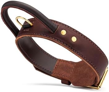 Viper Heavy Duty Leather Dog Collar with Handle – Adjustable, Durable & Comfortable | Solid Brass Hardware & Fur Protection Plate for Training & Everyday Use