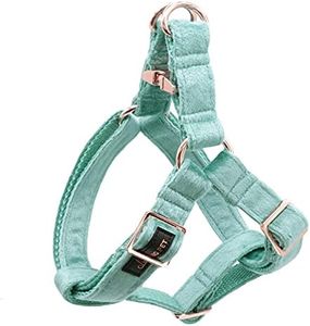 ARING PET Dog Harness, Dog Halter Harness, Cute Velvet Harness for Small Medium Large Dogs.