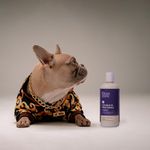 Klean Gypsy Premium Dog Conditioner - Silky Smooth Fur with Coconut Oil Shea Butter and Aloe Vera