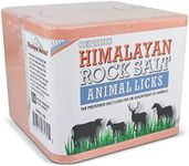 Himalayan 