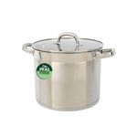 Salter Timeless 24cm Stockpot - Non-Stick Stainless Steel Cooking Pan, 9L, Includes Tempered Glass Lid & Steam Vent, Easy Carry Handles, Dishwasher Safe, Suitable for All Hobs Including Induction
