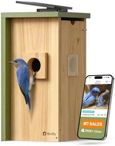 Birdfy Bir