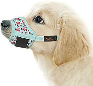 HEELE Dog 