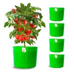 ORGANIC BAZAR 10x10 Grow Bags for Home & Terrace Garden, Premium HDPE 260 GSM Green Planter, Pack of 5