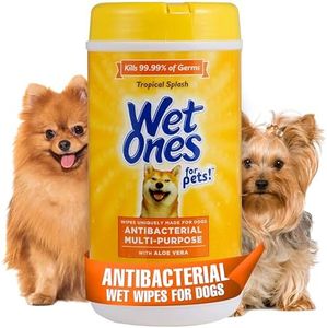 Wet Ones f