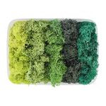 200g Artificial Moss Fake Faux Natural Fresh Green Moss Decorative 5 Colors Preserved Eternal Moss Decorative for Home Garden Patio Miniature Fairy Garden Accessories Plant House Decor (5 colors)