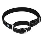 haoyueer Adjustable Martingale Safety Training Dog Collars, Soft Neoprene Padded Breathable Nylon Pet Collar for Small Medium Large Dogs (S, Black)