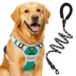 Buraq Reflective Dog Harness with Leash, No-Pull Adjustable Belt Vest for Small, Medium & Large Dogs, Escape-Proof, Padded Training & Walking Harness (Green, L)